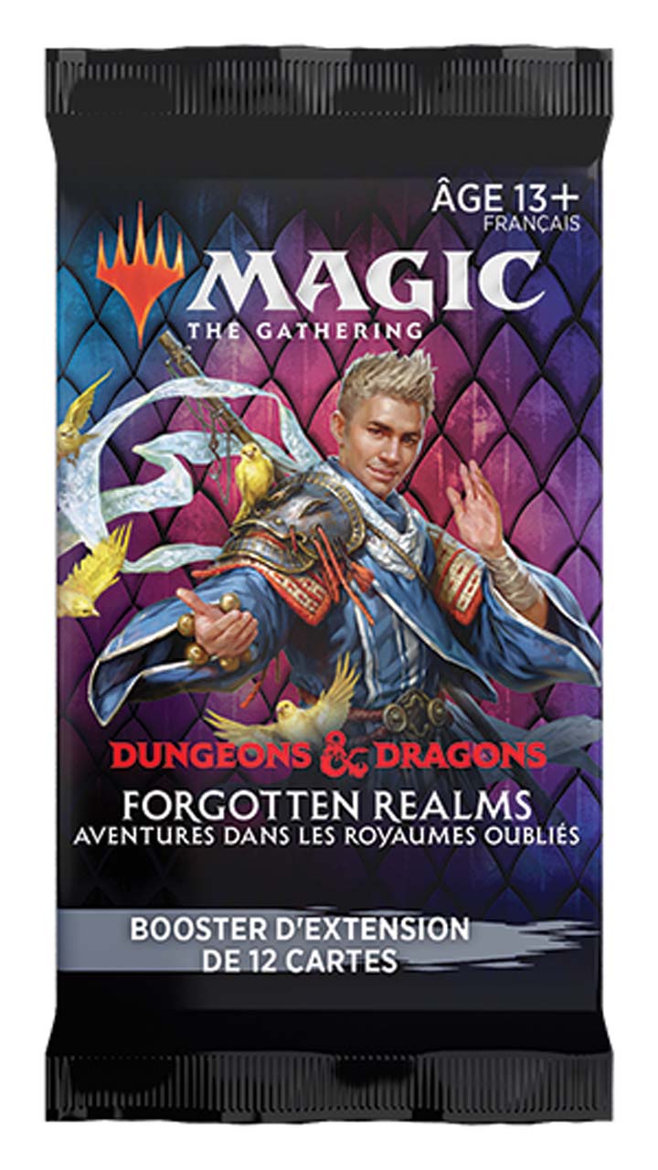 Magic Forgotten Realms D&D Set Booster FR