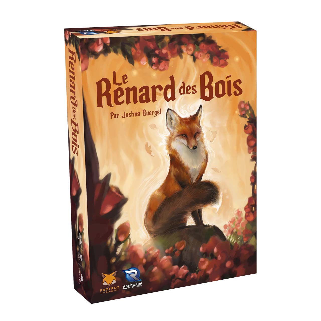 Le renard des bois