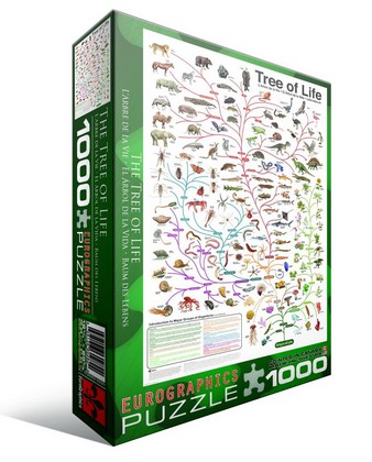 puzzle evolution arbre vie