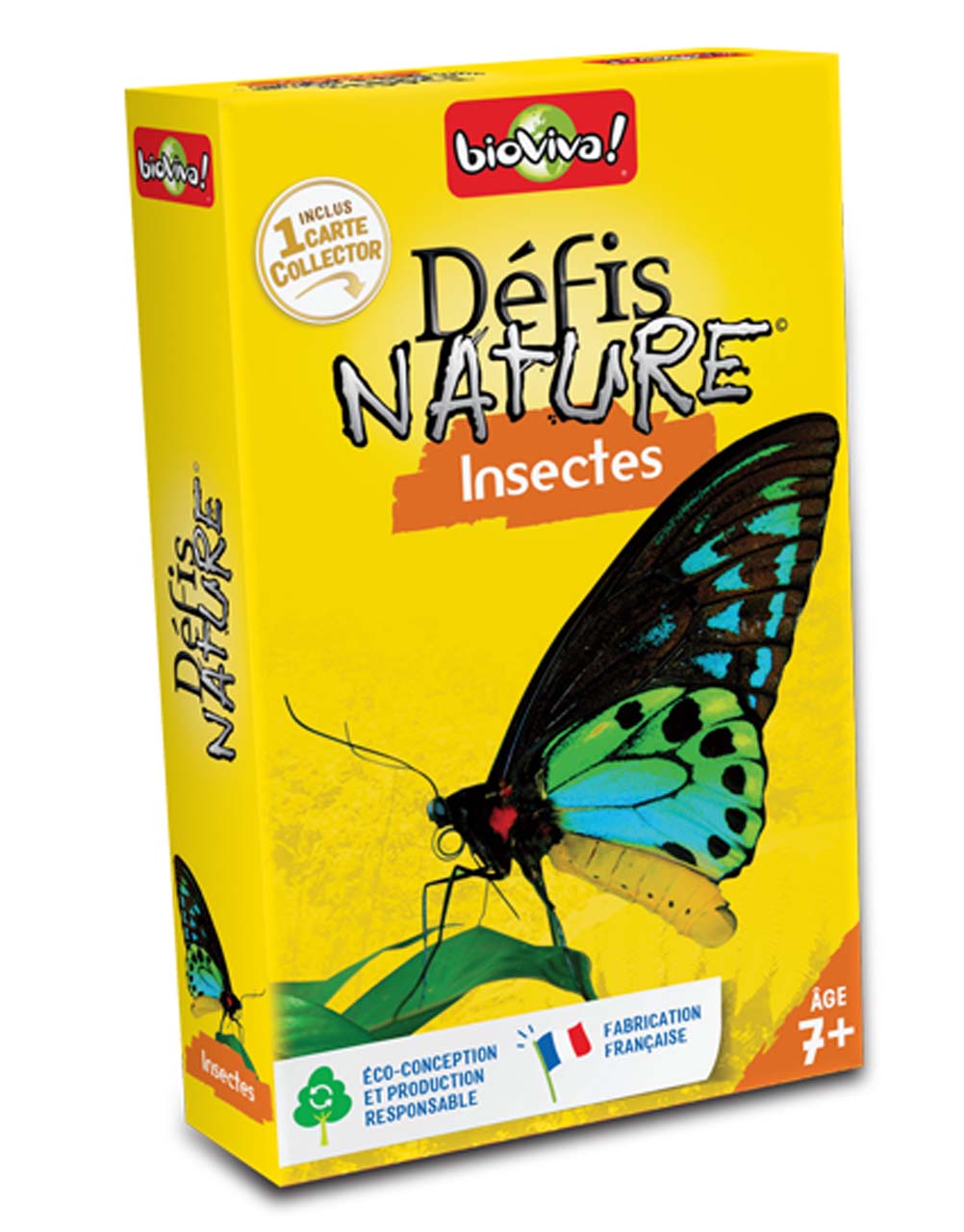 Défis Nature Insectes