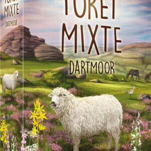 Forêt Mixte : Dartmoor