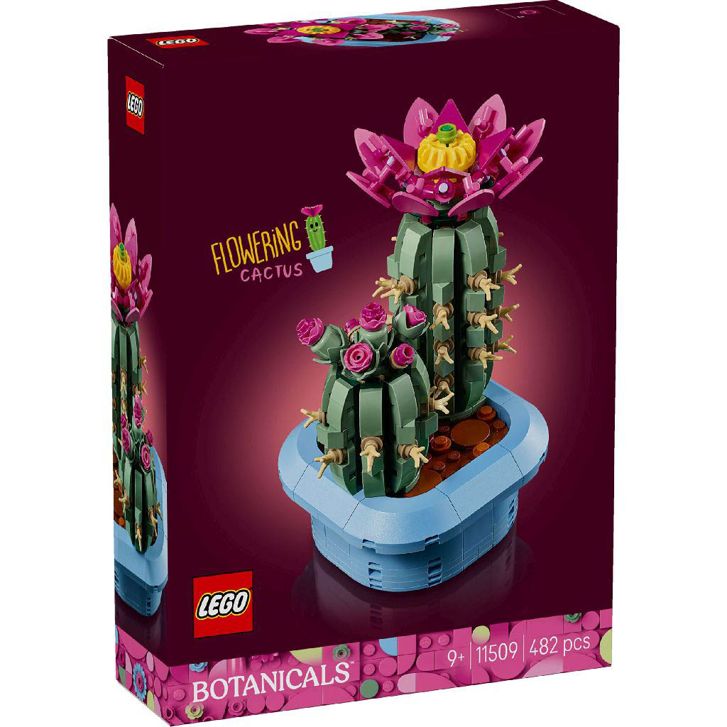 Cactus fleuri (Icons Botanicals)