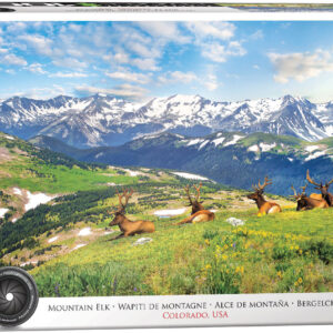 Wapiti de Montagne Colorado