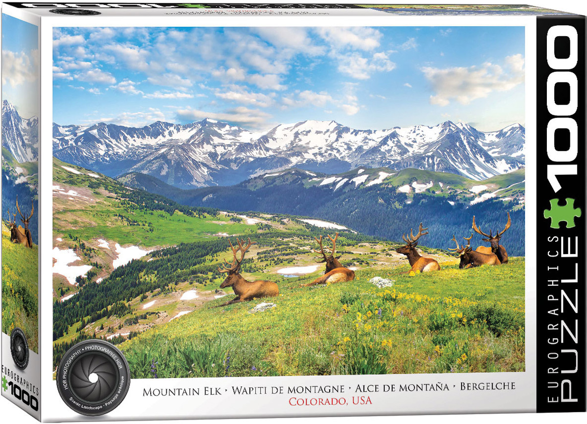 Wapiti de Montagne Colorado