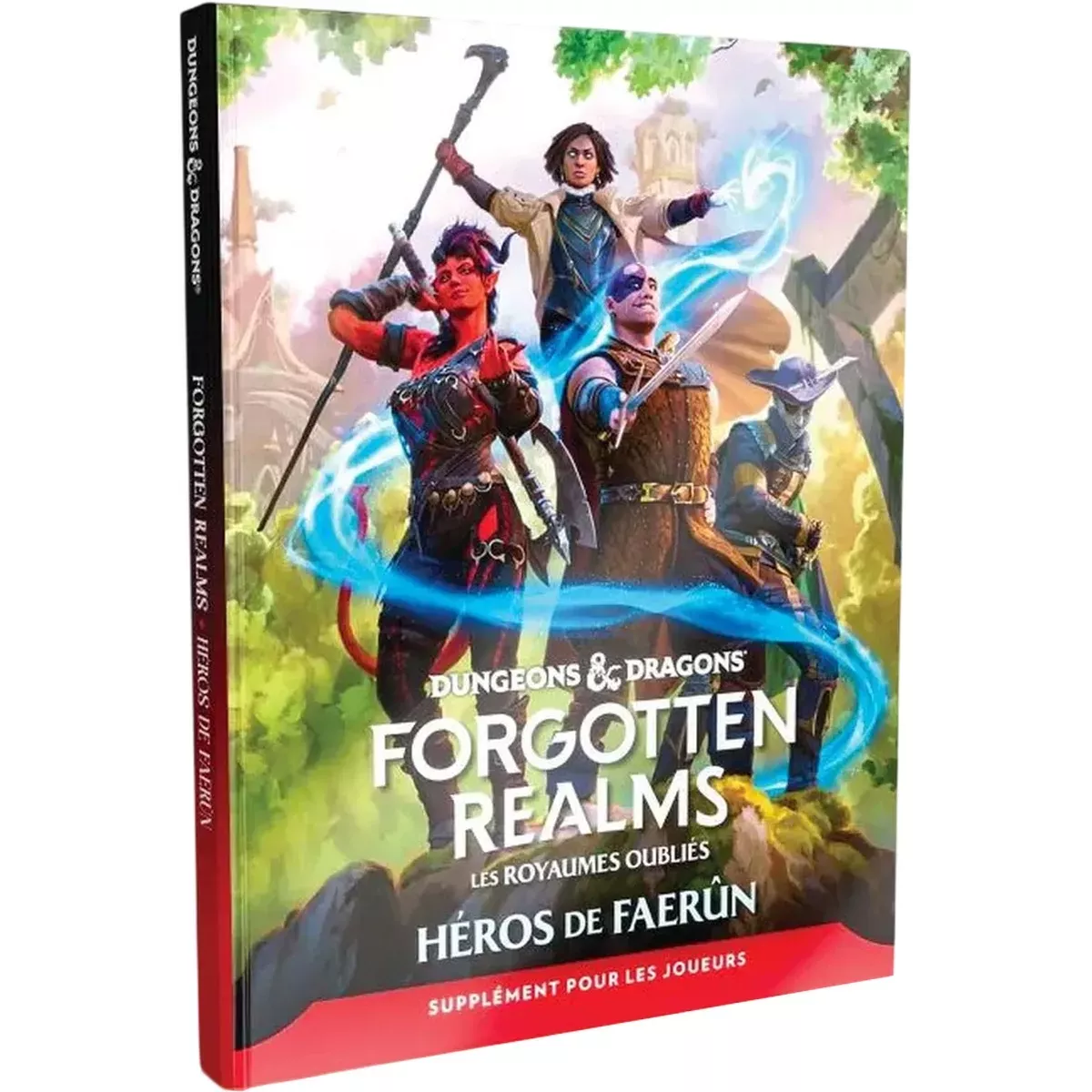 Dungeons & Dragons - Les Royaumes Oubliés : Héros de Faerûn