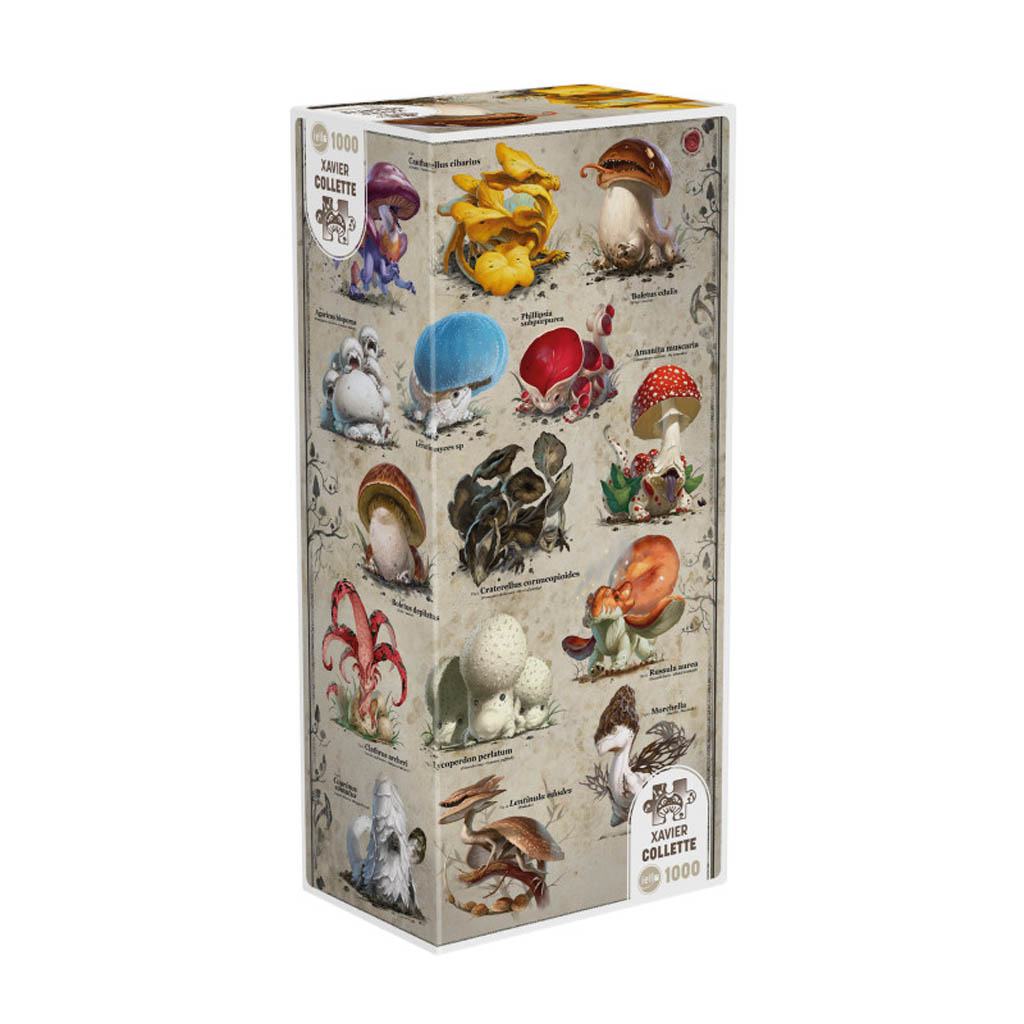 Puzzle Signature : Dracofungus - Taxonomic (1000p)